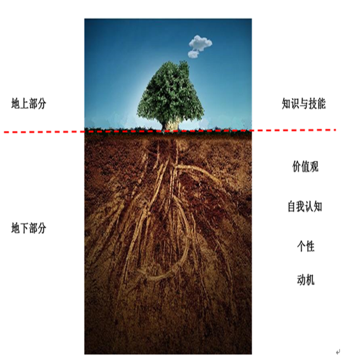 遠東營銷經(jīng)理大樹素質模型